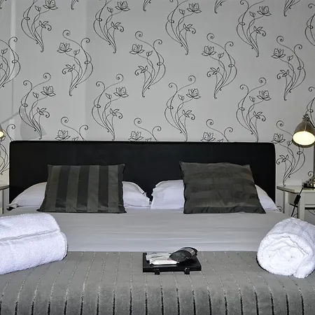 Near colosseum apartment san giovanni pet-friendly *