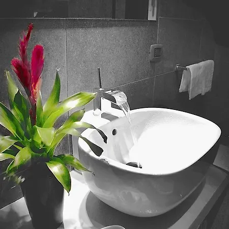 Near colosseum apartment san giovanni pet-friendly *